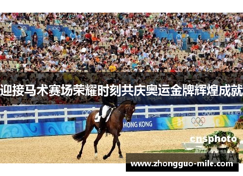 迎接马术赛场荣耀时刻共庆奥运金牌辉煌成就 迎接马术赛场荣耀时刻共庆奥运金牌辉煌成就