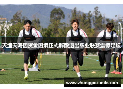 天津天海因资金困境正式解散退出职业联赛震惊足坛